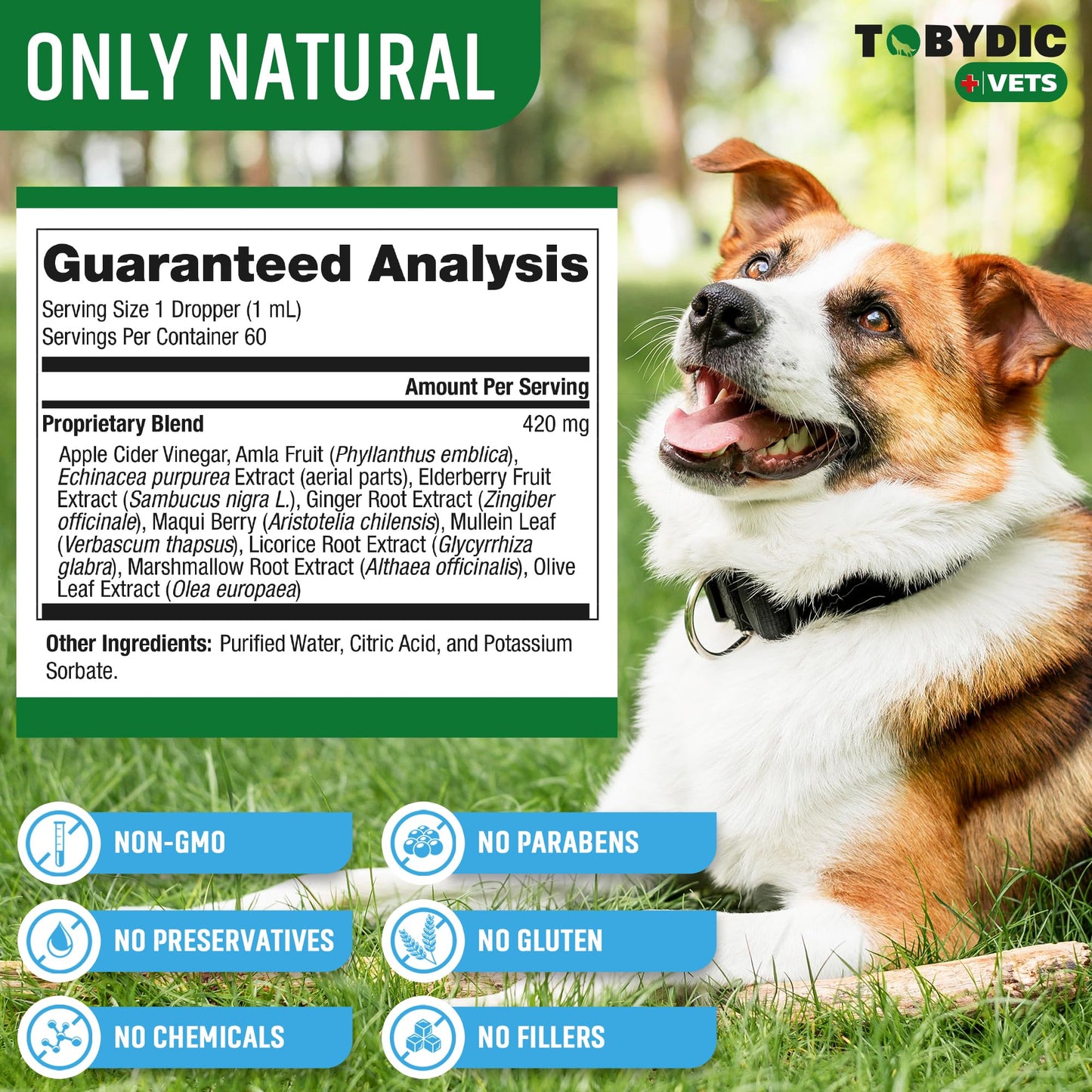 Tobydic Dry & Wet Cough Natural Medicine & Relief for Dogs and Cats - Herbal Treatment Support Helps to Soothe Throat & Respiratory Trachea Comfort Supplement for Pets - Made in USA