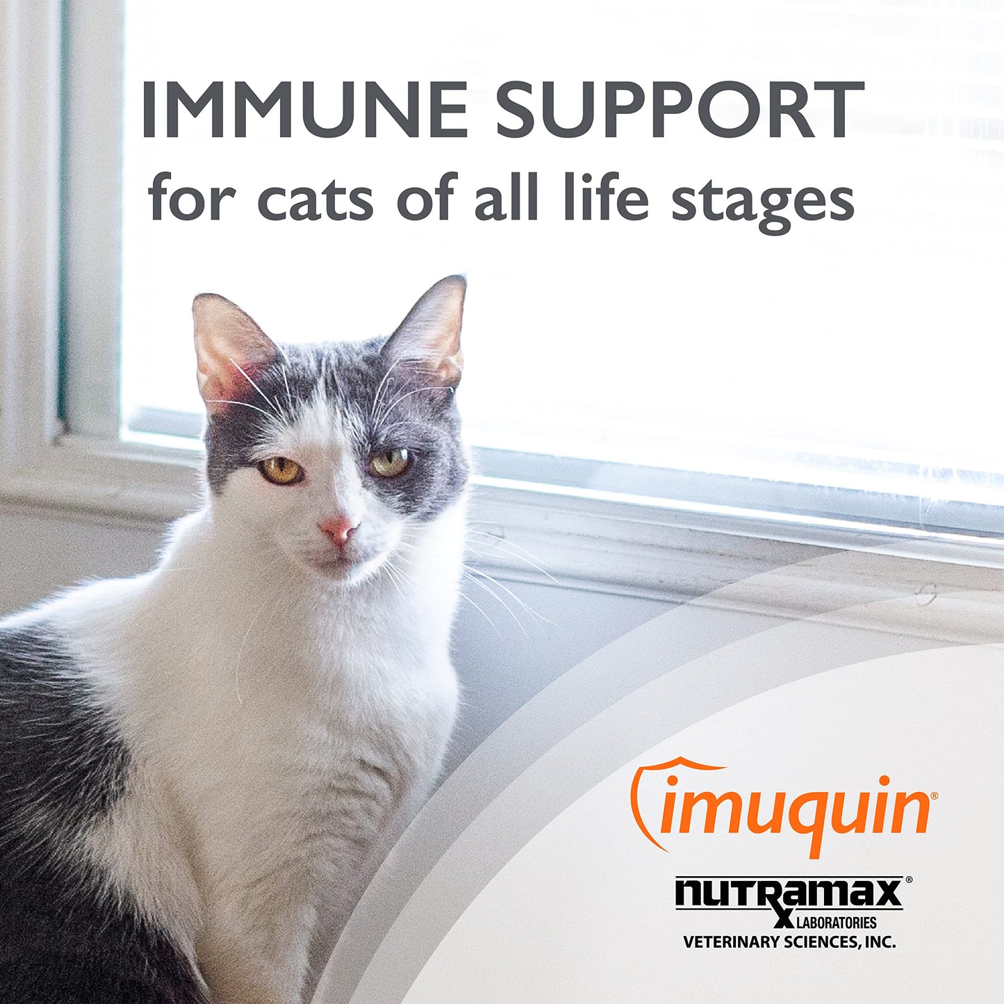 Nutramax Imuquin Immune Health Supplement Powder for Cats, with Beta Glucans, Marine Lipids, Vitamins and Minerals, 30 Packets, Updated Version