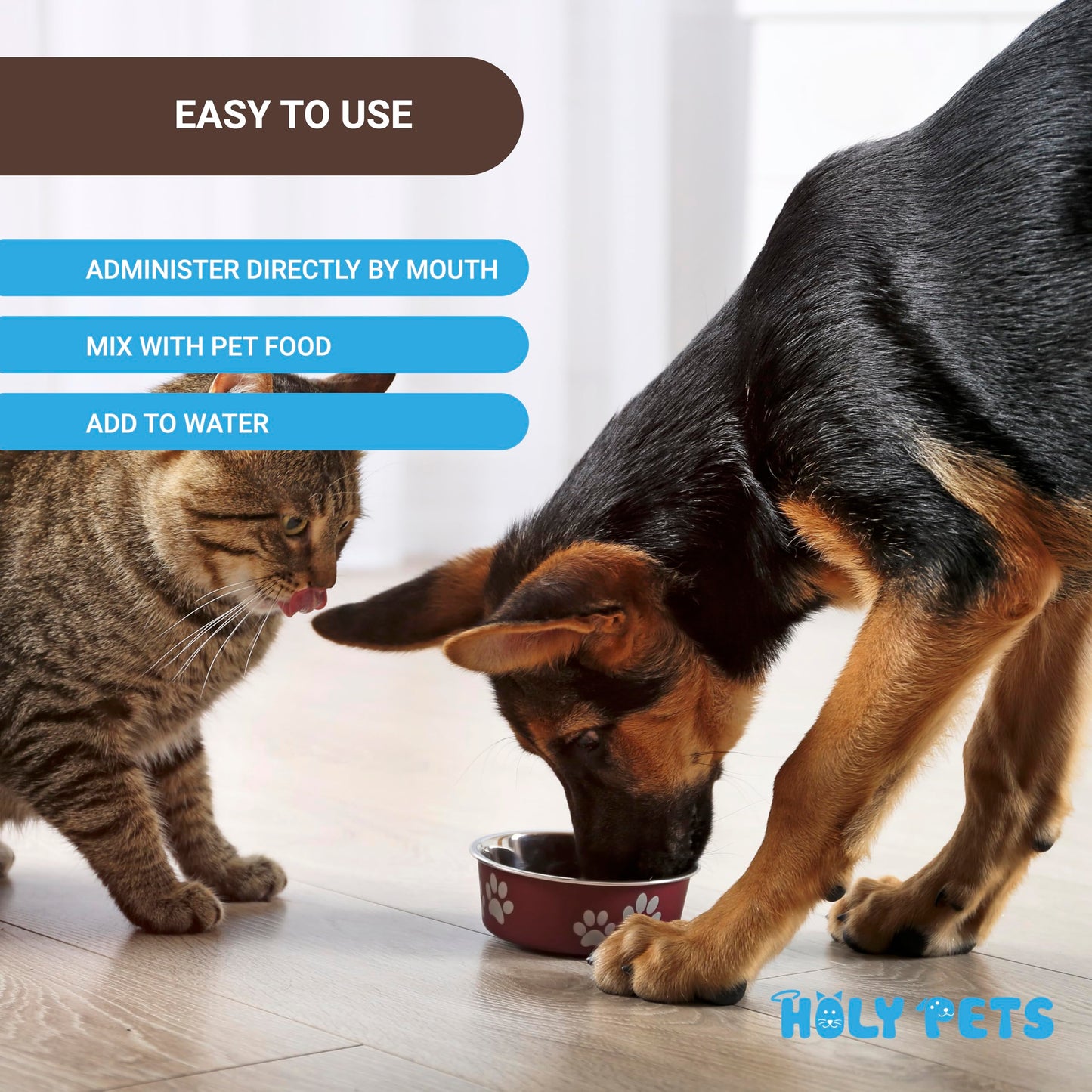 Holy Pets Natural UTI Medicine for Cats & Dogs, Urinary Tract Infection Treatment, Antibiotic Supplement for Pets - Helps with Bladder & Kidney Health, Flow, PH & Overall Function - All Natural