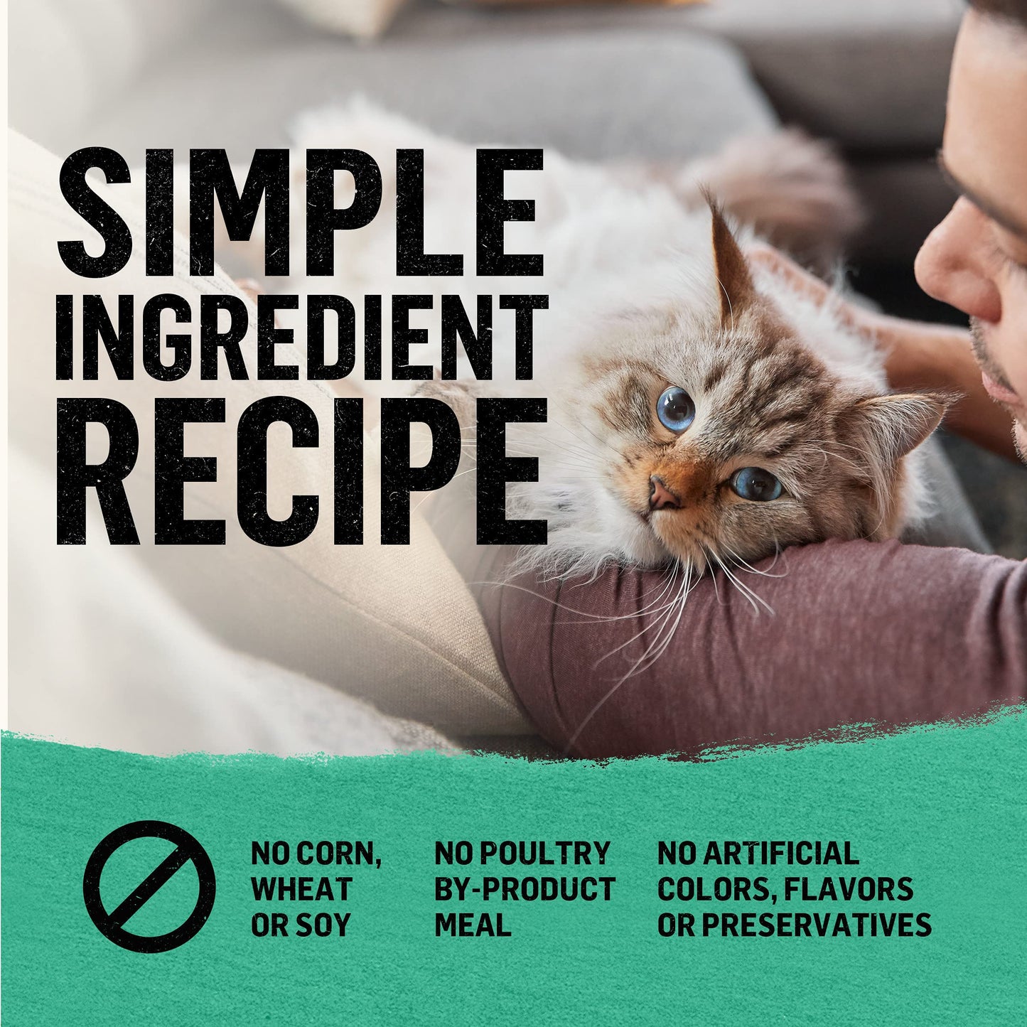 Purina Beyond Natural Grain Free Dry Cat Food Whitefish and Egg Recipe With Added Vitamins, Minerals and Nutrients - 11 lb. Bag