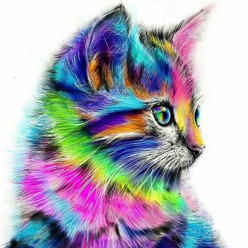 Digital Oil Painting Wholesale 4050FB Frameless Cat