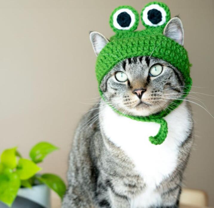 Cat Frog Styling Decorative Cap Casual Cotton Cap Pet Products Handmade Costume Festive Party Head Ornament