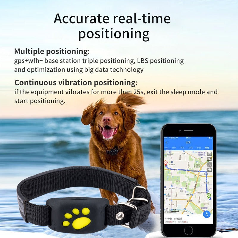 GPS Cat locator cat tracker pet anti loss tracker global locator cross-border portability