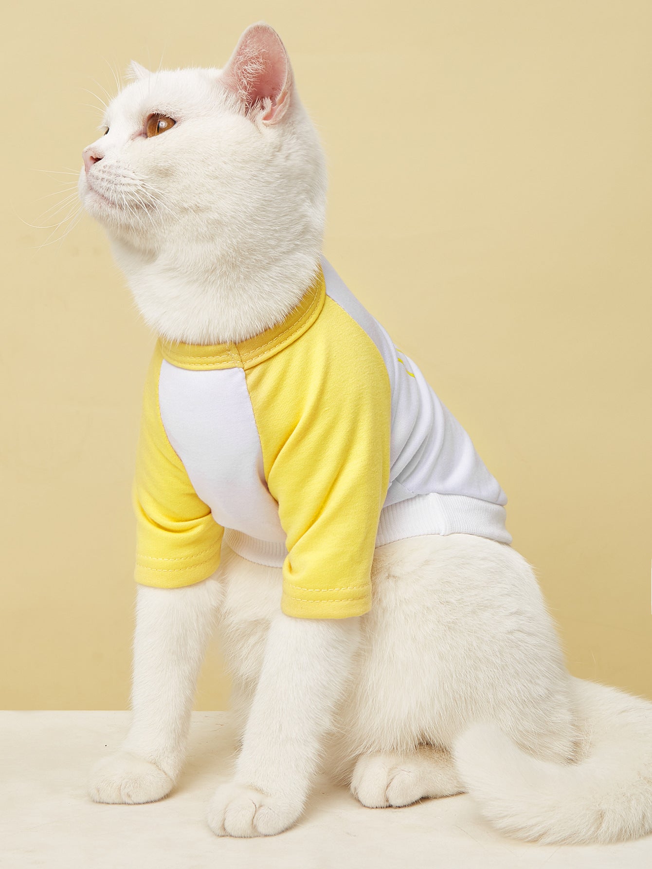 New Summer Pet Thin Section English Color Matching Cat Clothes Comfortable Short-Sleeved T-Shirt