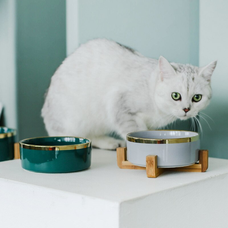 Cat Dog Feeders Bowl Ceramic Tableware Bowls Pet Food Water Bowl Bamboo Frame Antiskid Pet Supplies Dog Cat Feeding Bowl