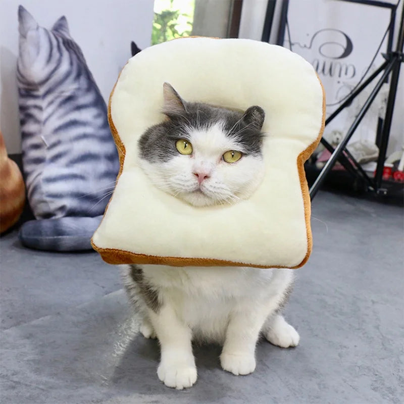 Pet Cat Headgear Toast Headgear