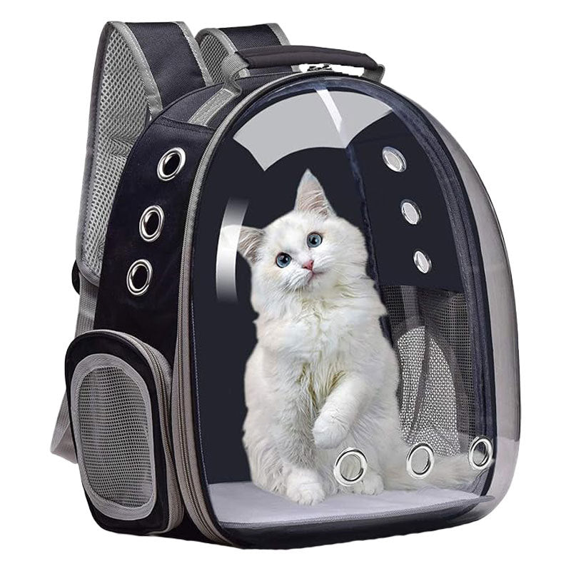 Portable Large Capacity Small Transparent Backpack Cat Bag