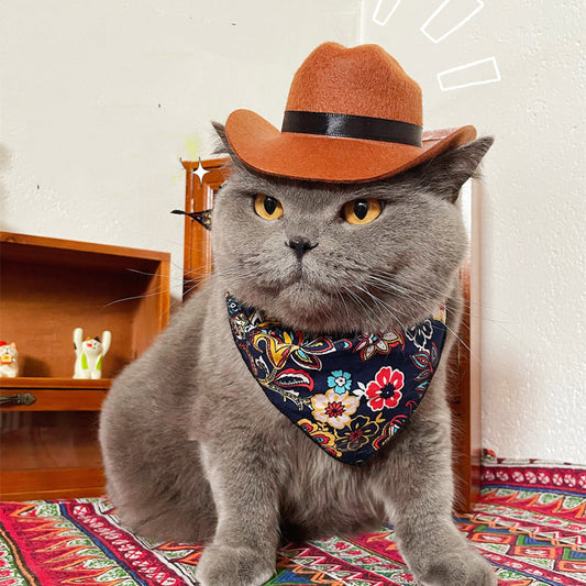 Cat Decorative Hat Pet Headwear Western