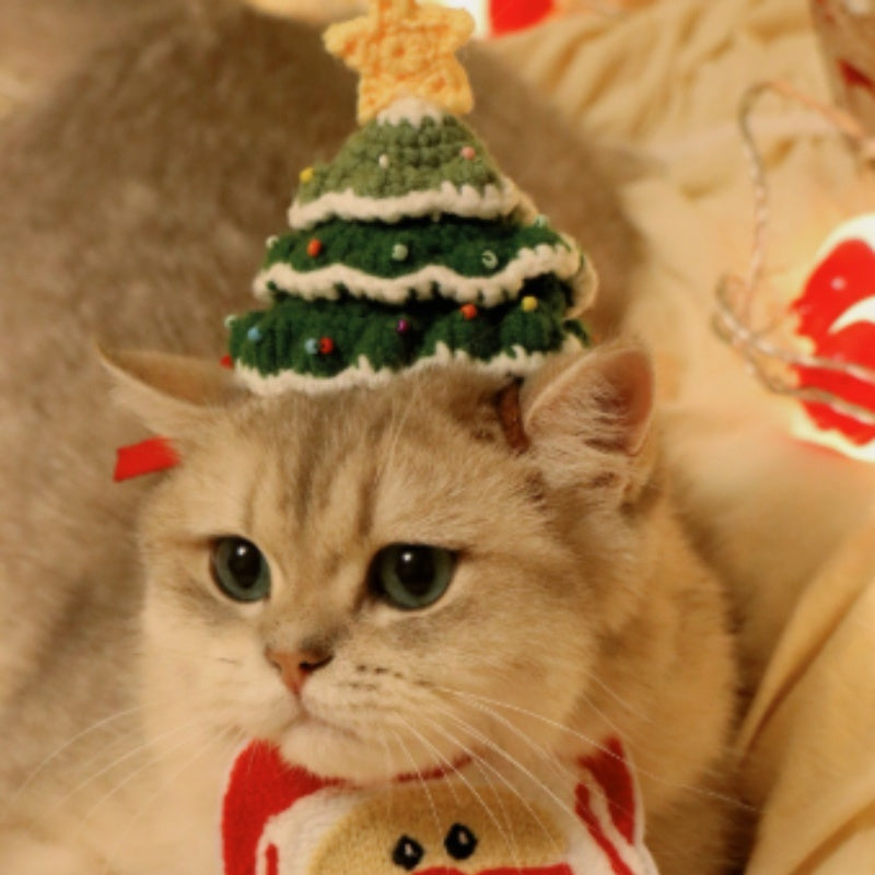 A Christmas Tree, Small Hat, Pet Cat