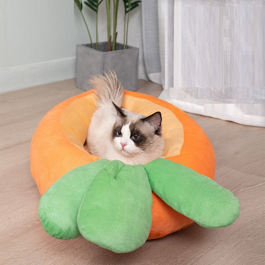 Carrot Cat Litter Pet Litter Is Soft And Comfortable