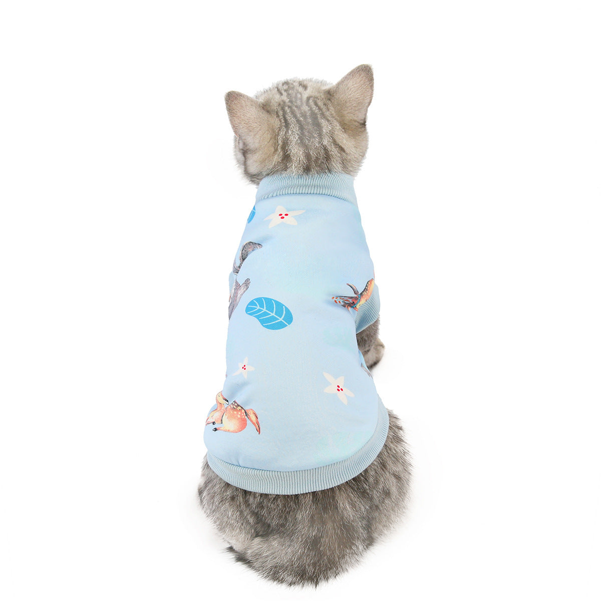 Cat Clothes Autumn And Winter Clothing