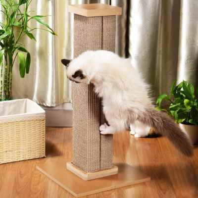 Cat Climbing Frame Roman Column