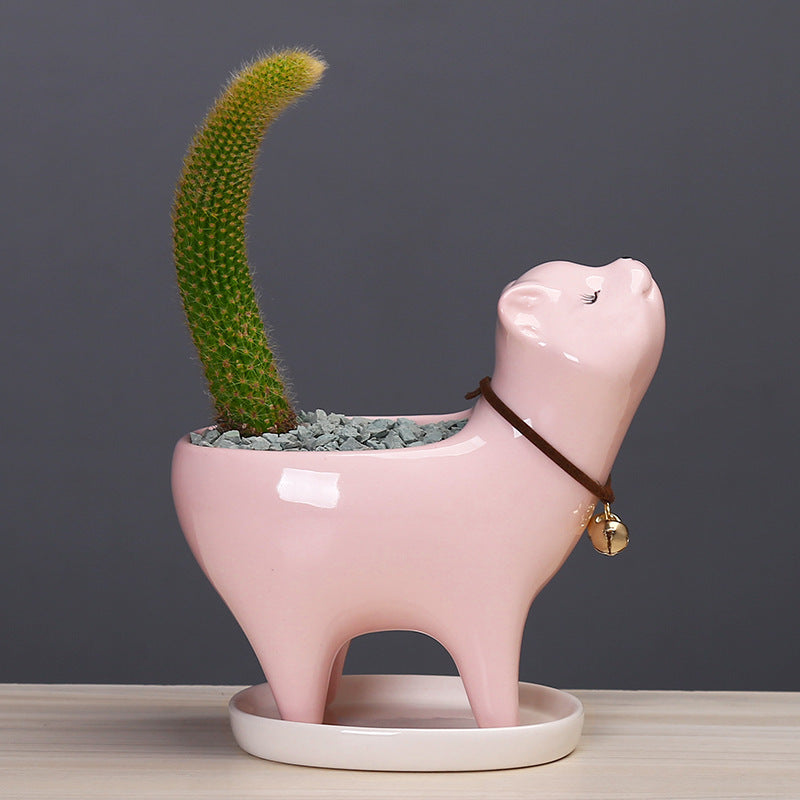 Cat Tail Succulent Cactus Ceramic Flowerpot