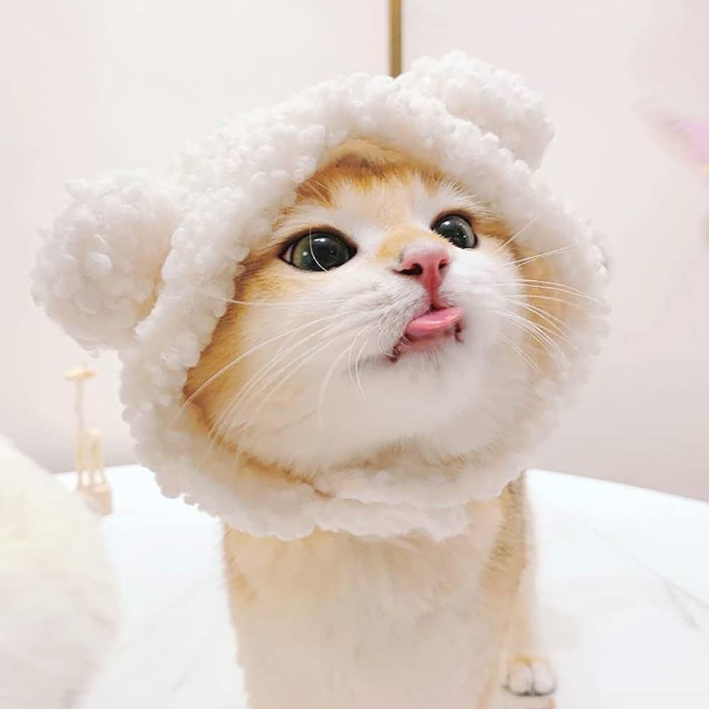 Cute Cat Costume Bear Hat For Cat Warm Soft Small Pet Headwear