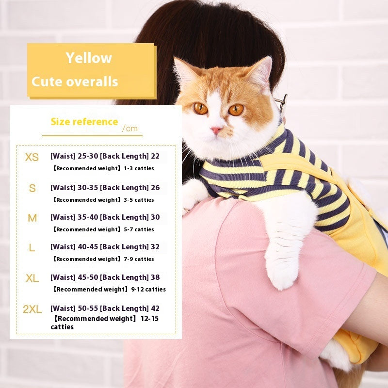 Warm And Cute Clothes For Four-legged Anti-lint Cat And Pet