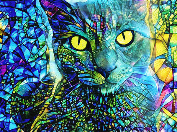 Diamond Painting Full Cat Kit Animal Home Decoration