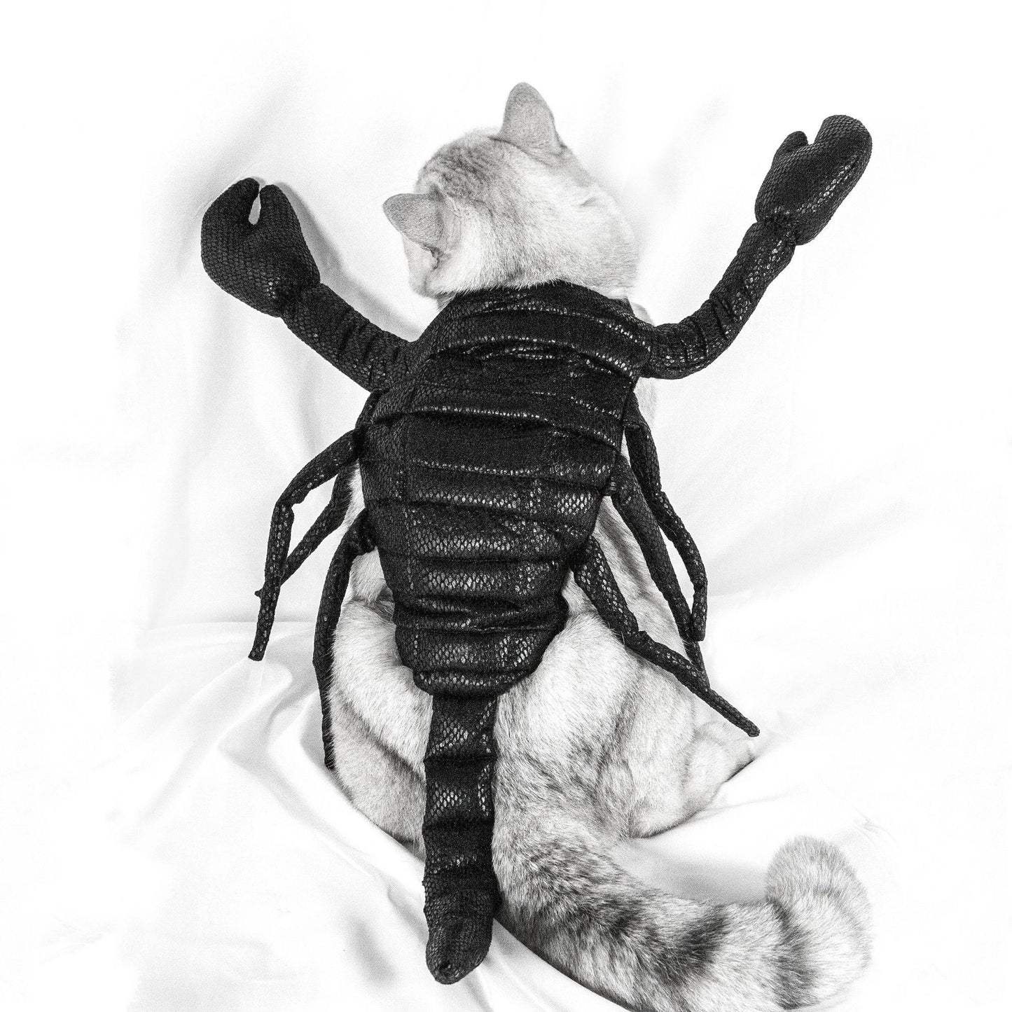 Hot Sale In Europe And America New Pet Clothes Halloween Scorpion Pet Costume Cat Party Funny