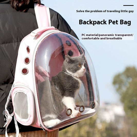 Portable Large Capacity Small Transparent Backpack Cat Bag