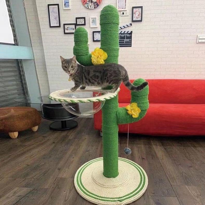 Cactus Cat Climbing Frame Self-made Diy Complete Material Package