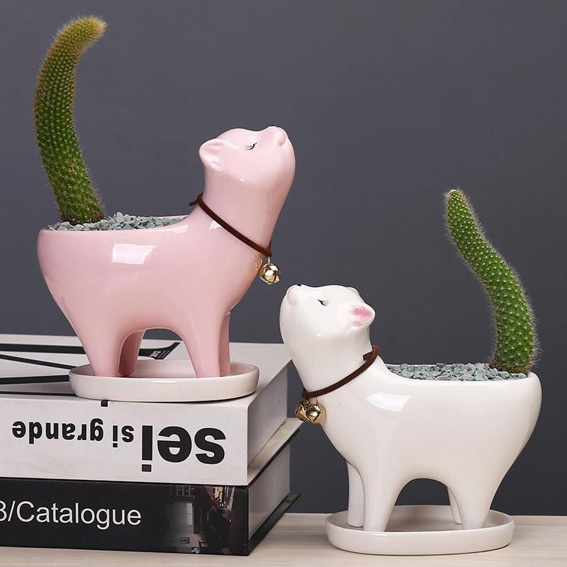 Cat Tail Succulent Cactus Ceramic Flowerpot