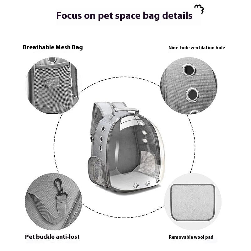 Portable Large Capacity Small Transparent Backpack Cat Bag